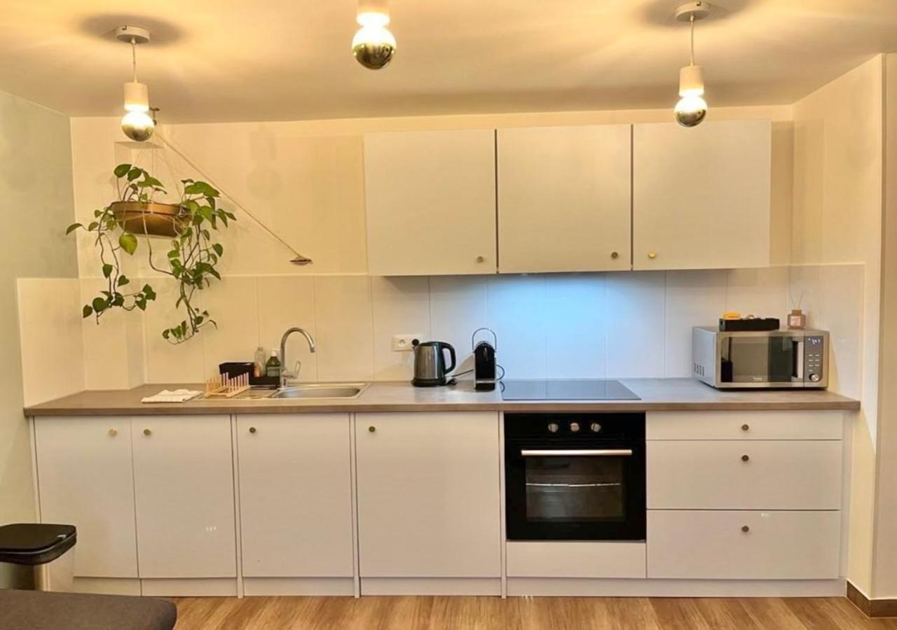 Appartement 2P Strasbourg Centre Экстерьер фото